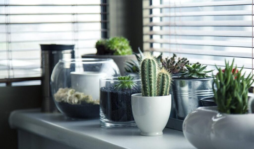 Interieuradvies van professionals - moderne woonkamer met stijlvolle meubels en decoratie